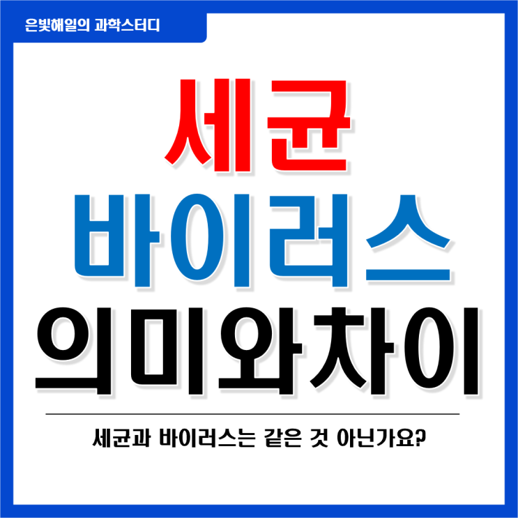  세균(박테리아)과 바이러스의 의미와 차이, 그리고 역할