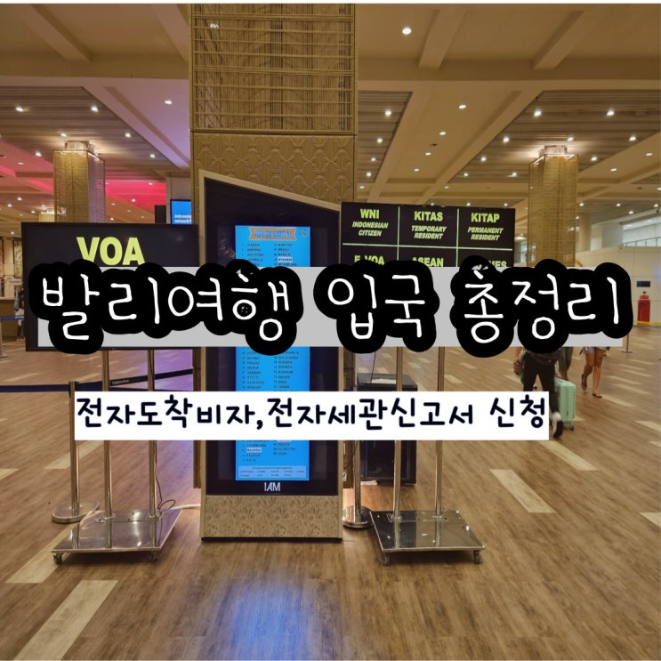  발리여행 준비 입국 총정리(전자 도착비자, 세관신고서 신청) 트레블 월렛 카드 인출