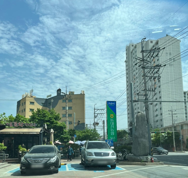  하나로마트 동대전 농협에서 장보기