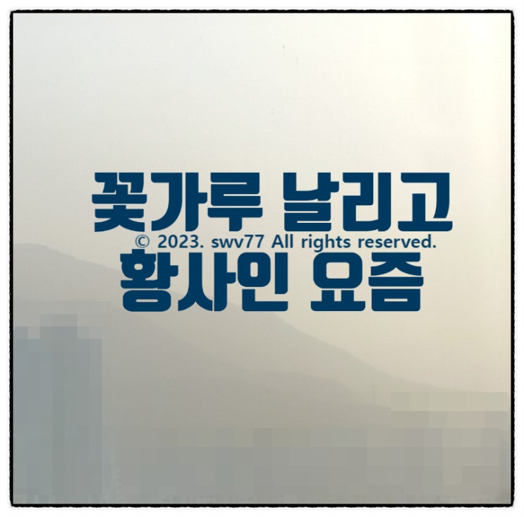  꽃가루 날리고 황사 경보인 요즘