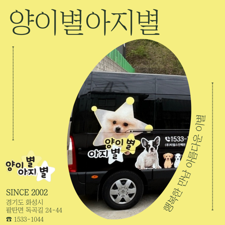 찾아가는 반려동물 장례서비스 양이별아지별