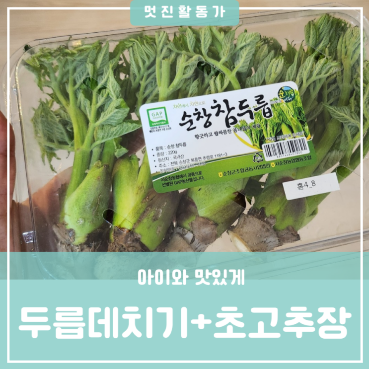 초등학생 중학생 편식없애기 아이들반찬 두릅손질 참두릅데치기 시간 백종원 초고추장만드는법 초장레시피 초등학생 중학생 편식없애기 아이들반찬 두릅손질 참두릅데치기 시간 백종원 초고추장만드는법 초장레시피