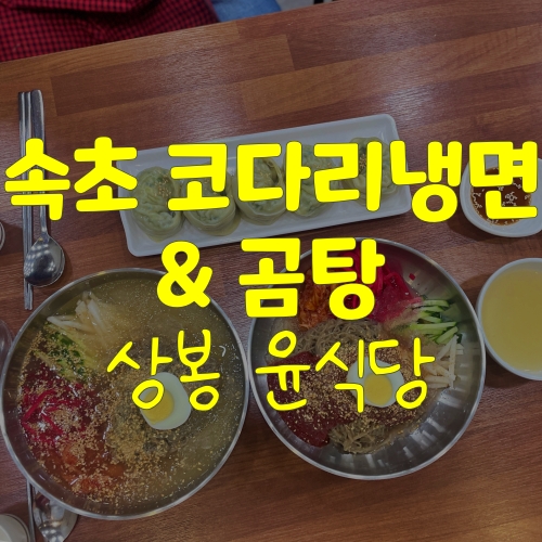  상봉맛집 중랑구 쭈꾸미볶음 맛있는 코다리냉면&곰탕 윤식당