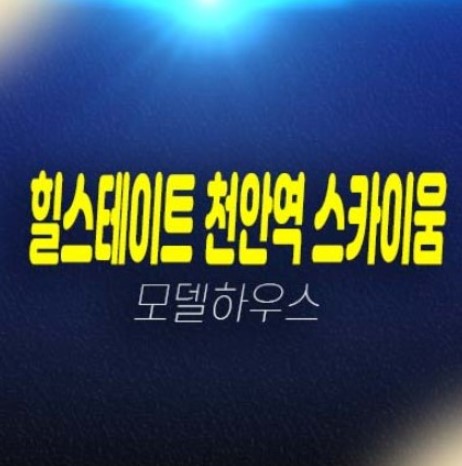 04-22 힐스테이트 천안역 스카이움 성정동 아파트분양 현대건설 1군 시공건설 신축공사 분양가 투자자,실거주 잔여세대 모델하우스 소형,중대형 평형타입 현장 분양정보!