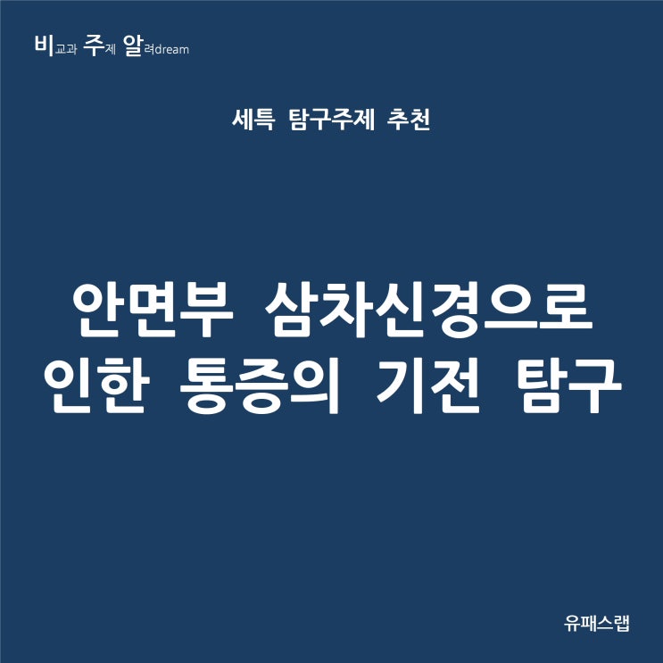  [비주알 세특 탐구주제] 안면부 삼차신경으로 인한 통증의 기전 탐구 (생명과학, 생활과과학, 융합과학, 의예과, 치의예과)