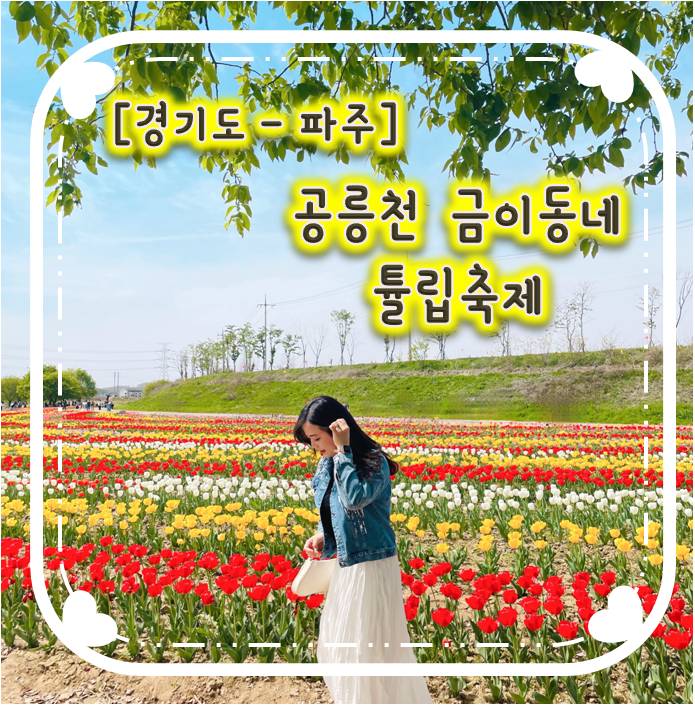 공릉천 금이동네 튤립축제 주차꿀팁/포토스팟/튤립사진찍는방법/튤립인생샷남기기 공릉천 금이동네 튤립축제 주차꿀팁/포토스팟/튤립사진찍는방법/튤립인생샷남기기