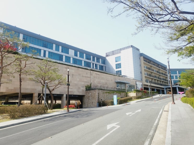 경주 가족 숙소 블루원 패밀리콘도 36평에서 즐긴 1박2일