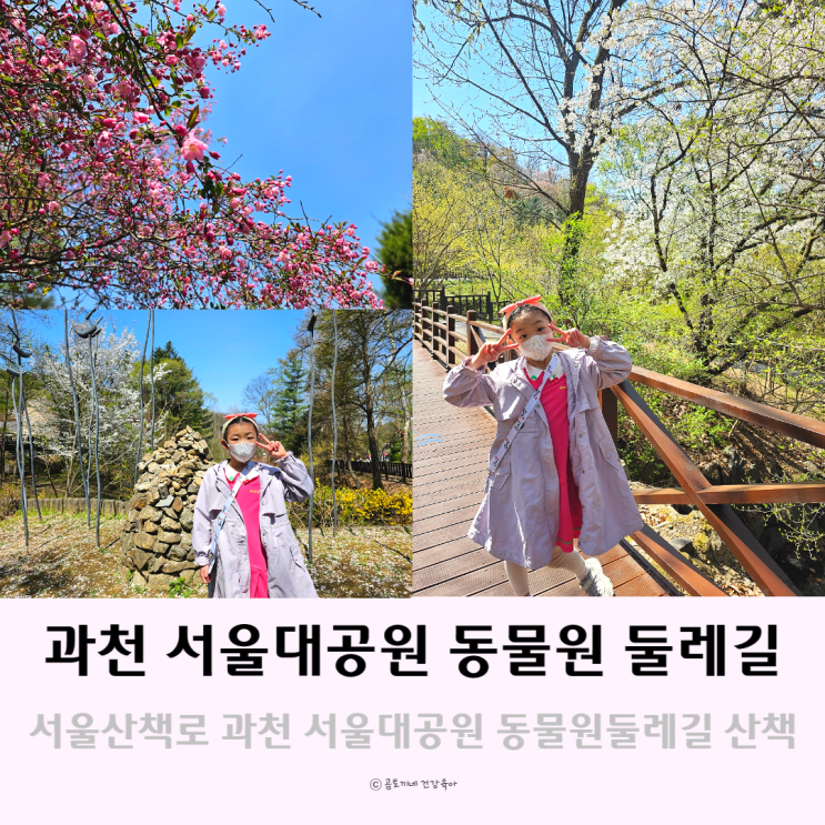 서울 산책로 : 과천 서울대공원 동물원 둘레길돌며 봄꽃구경 서울 산책로 : 과천 서울대공원 동물원 둘레길돌며 봄꽃구경