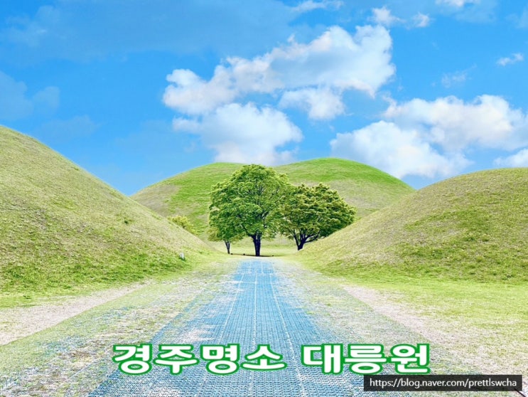  경주 대릉원 주차장 관람료안내 포토존