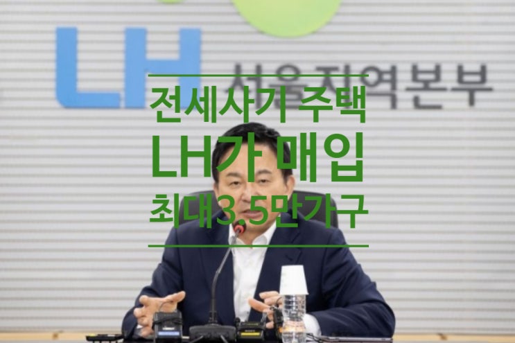  전세사기 주택 LH가 매입...최대 3.5만 가구