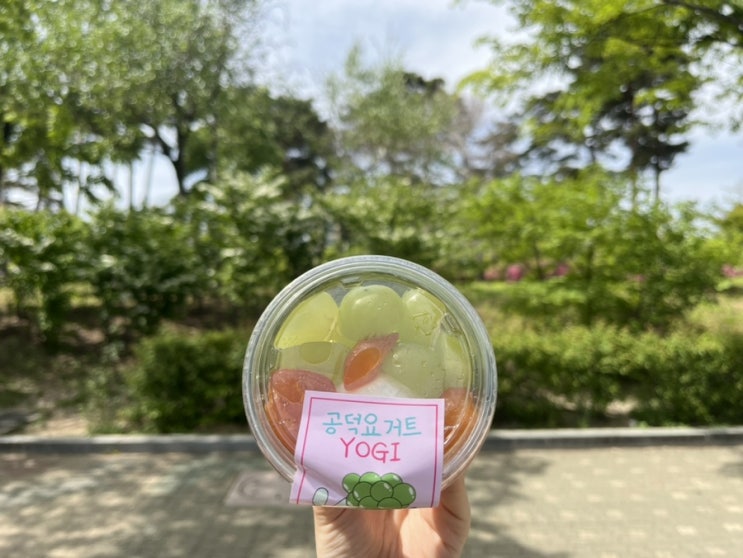  [마포] 어린이집 건강 간식으로 추천하는 그릭요거트 맛집, 공덕그릭요거트요기