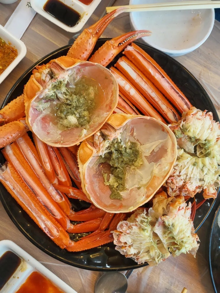  [은주네 활화산 활어] 속초 대포항 대게 세트 맛집