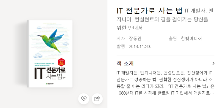  IT전문가로 사는 법 - 대기업 IT담당자의 시각에서 보기
