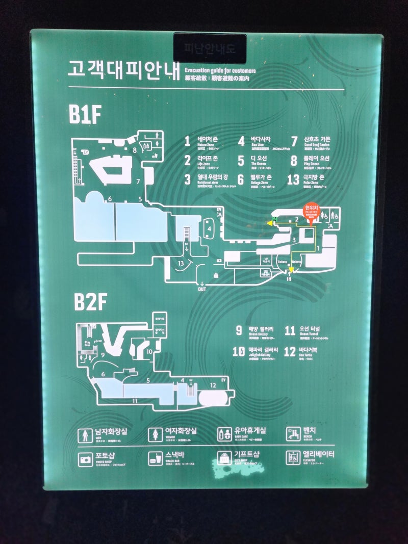 서울 아이와 가볼만한곳 잠실 롯데월드 롯데타워 아쿠아리움 할인 가격 : 네이버 블로그, image size:800x1067