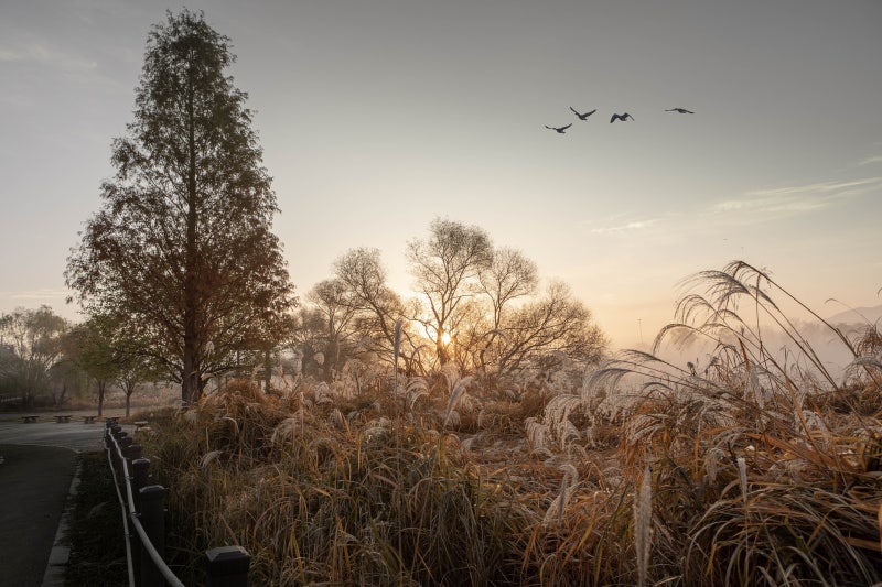 세종시변호사 소유권이전등기소송은 제대로 준비해야
