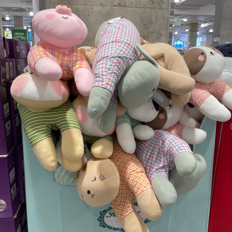  코스트코 바디필로우 인형 끌어안고 꿀잠