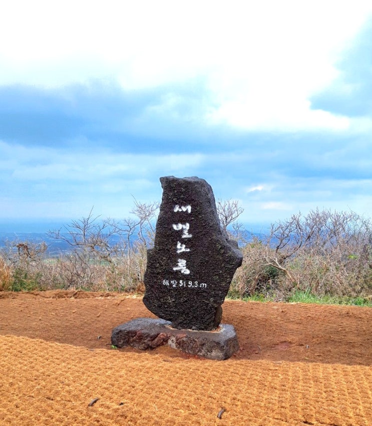 제주도 여행, 하르방, 하루방, 석양에 갇힌 제주시, 새별노름, 억새풀,