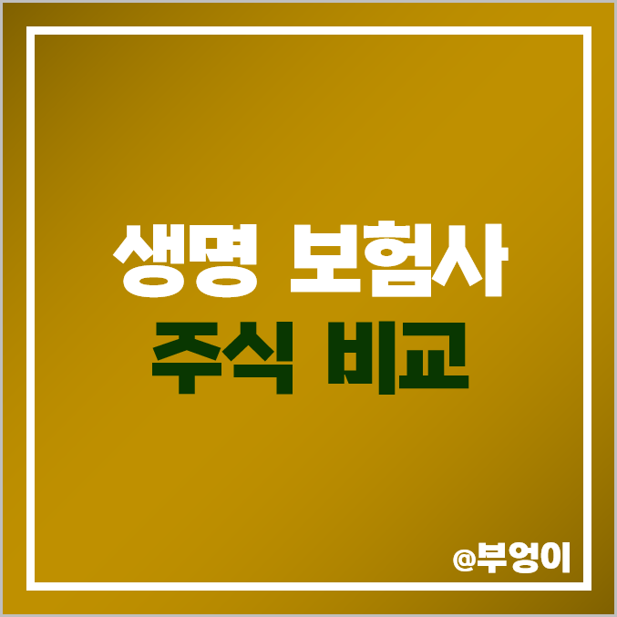 국내 생명 보험사 주식 비교 : 동양생명 삼성생명 한화생명 코리안리 미래에셋생명 에이플러스에셋 등 보험주 주가 PER PBR 배당금 시가총액 국내 생명 보험사 주식 비교 : 동양생명 삼성생명 한화생명 코리안리 미래에셋생명 에이플러스에셋 등 보험주 주가 PER PBR 배당금 시가총액