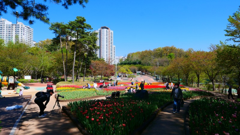 경기도 볼거리 : 의정부직동근린공원 튤립북한산 둘레길