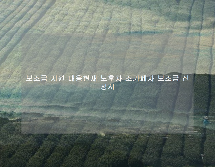 보조금 지원 내용현재 <b>노후차 조기폐차 보조금</b> 신청시