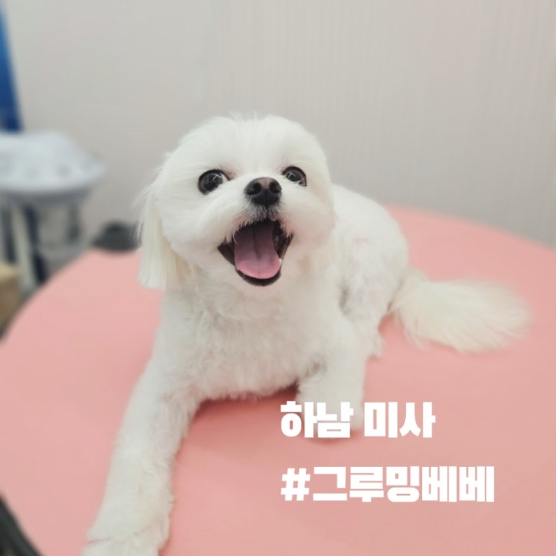 사진 2