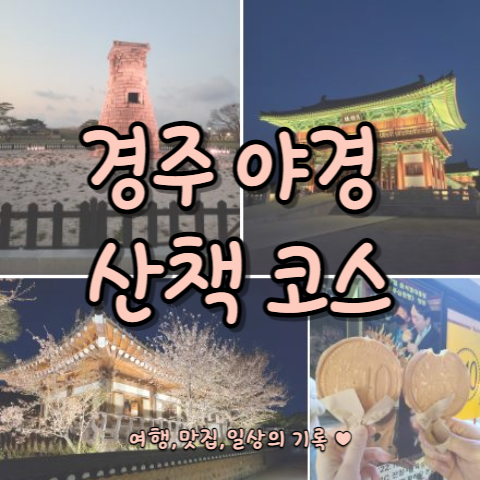  [경주 야경 2] 첨성대, 교촌 한옥마을, 월정교, 첨성대 십원빵 산책 코스 (feat. 첨성대 무료 주차)