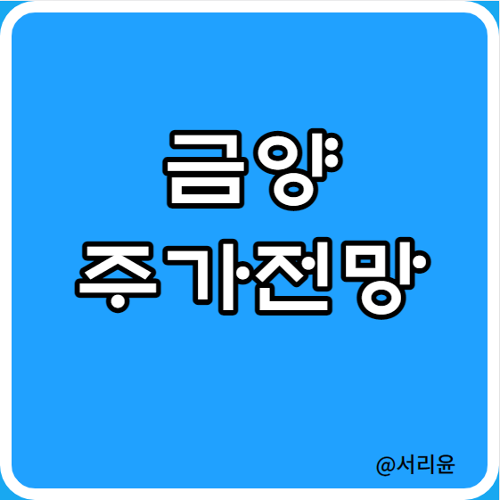  금양 주가전망 및 실적분석 (Ft. 시가총액 및 2차전지 관련주)