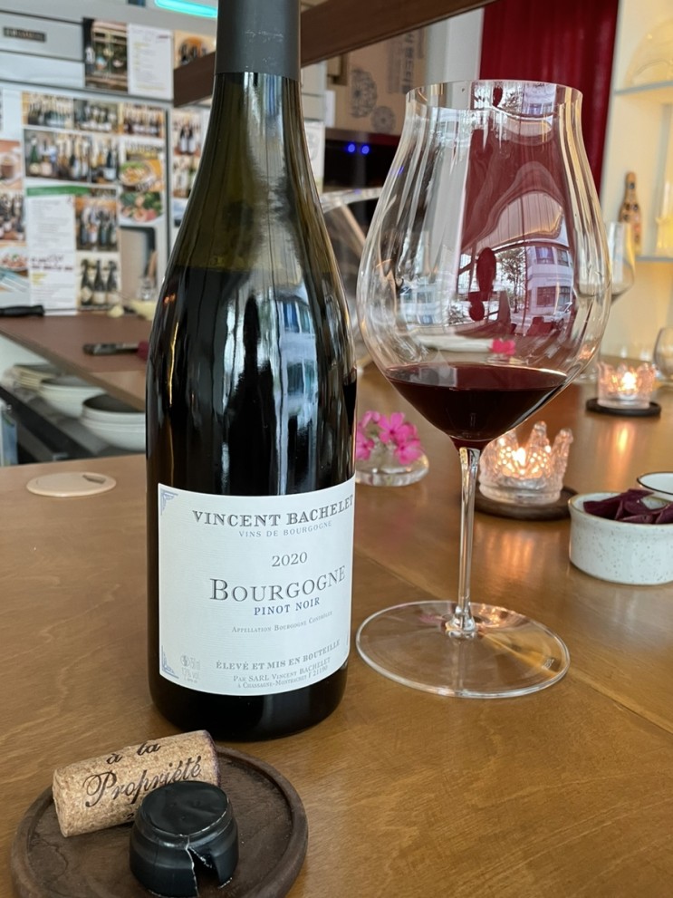 프랑스 부르고뉴 레드와인 Vincent Bachelet, Bourgogne Pinot Noir