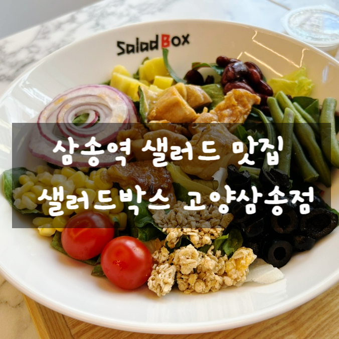 삼송역 샐러드 맛집 샐러드 박스 고양삼송점
