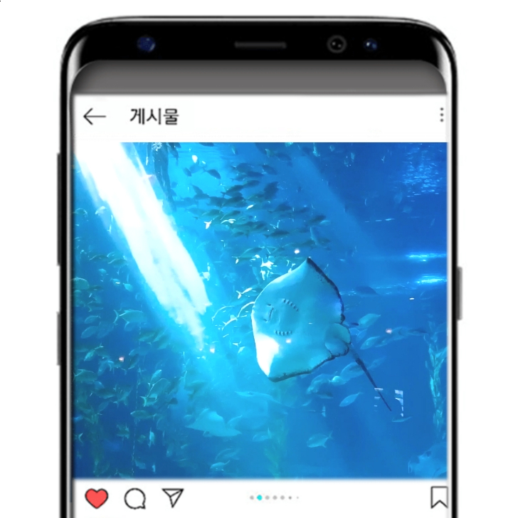  제주 뚜벅이 혼자 여행 가볼만한 곳 2박 3일간의 여정