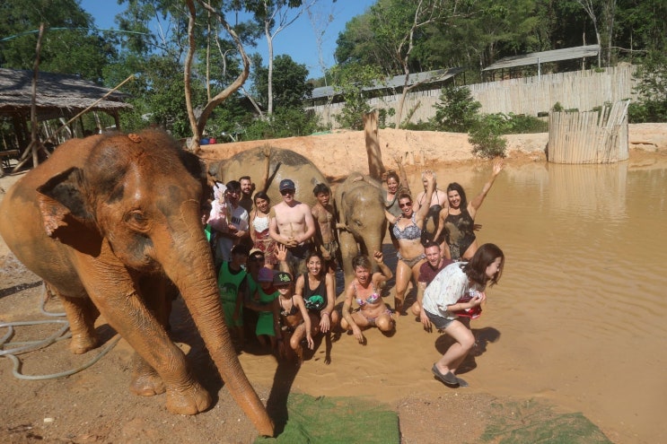  걸환장 15회, 걸어서 환장속으로 치앙마이 이연복 코끼리 보호소 체험, Elephant Retirement Park 체험 후기, 푸켓 코끼리 보호소