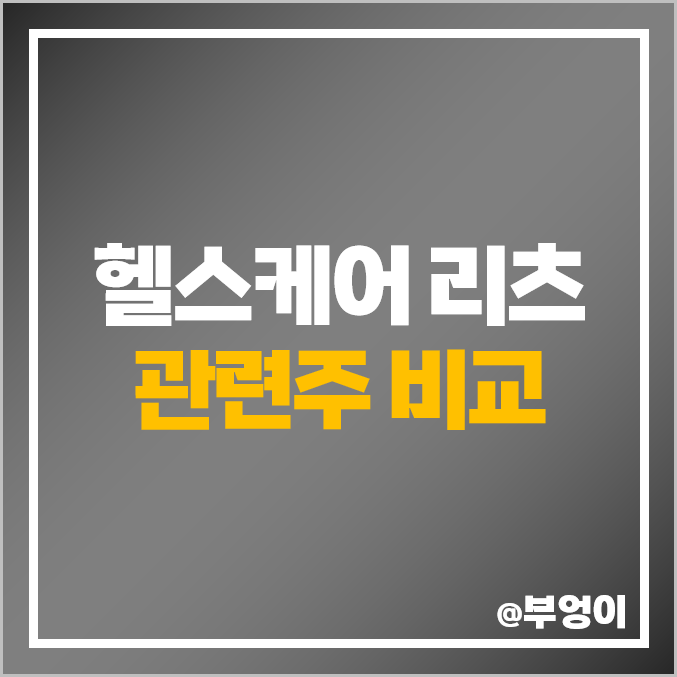미국 헬스케어 리츠 관련주 비교 : WELL VRT PEAK 주식 주가 PER PBR 배당금 매출액 목표가 시가총액 순위 미국 헬스케어 리츠 관련주 비교 : WELL VRT PEAK 주식 주가 PER PBR 배당금 매출액 목표가 시가총액 순위