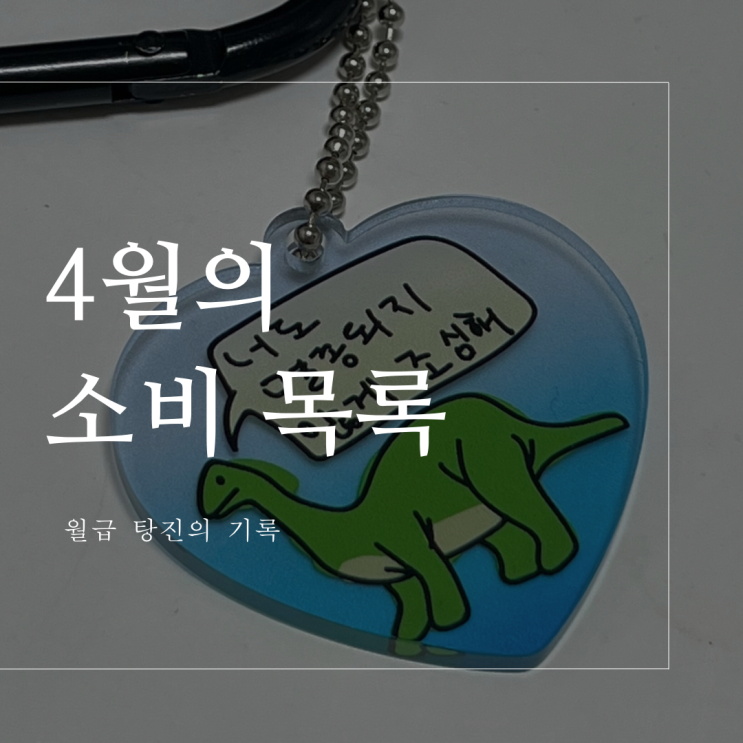  4월의 소비 목록 - 슈펜 롱부츠, 짤 키링, 올리브영, 이마트 바스크 치즈케이크 등등