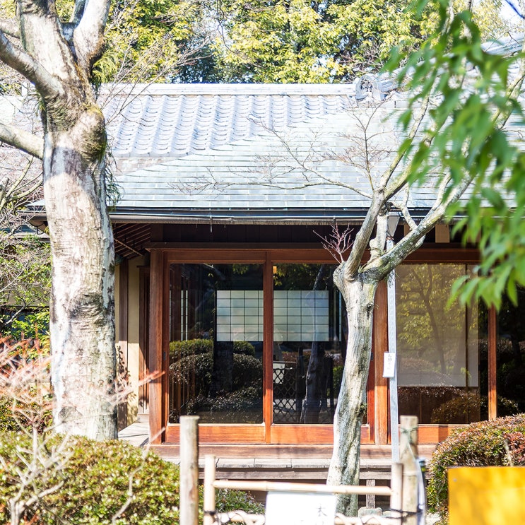  후쿠오카 가볼만한곳 오호리공원 일본정원 여행코스