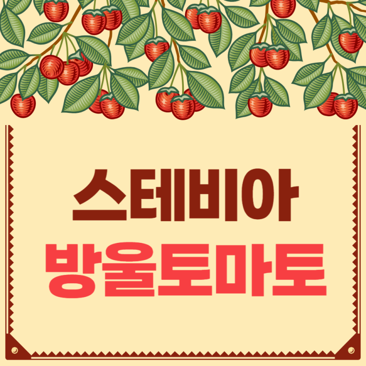 스테비아 방울토마토 효능 부작용 칼로리 구토 다이어트 당뇨 모든것 스테비아 방울토마토 효능 부작용 칼로리 구토 다이어트 당뇨 모든것
