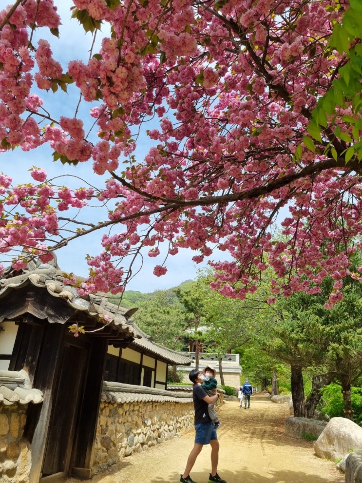  청주에서 문경 당일치기여행_진남역 철로자전거,문경새재오픈세트장