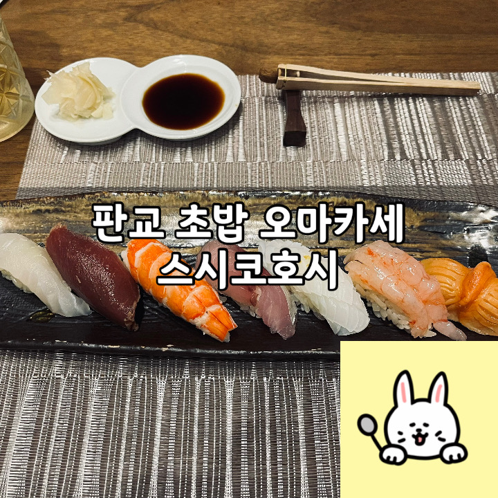  판교 초밥 오마카세 런치 스시코호시
