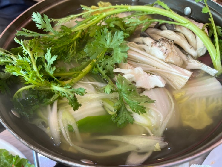  대전 로컬맛집 신선한 재료와 정성 가득한 수통골 칼국수 만두 보쌈 전문요리집 동죽이네 동죽B세트(만두전골 선택)