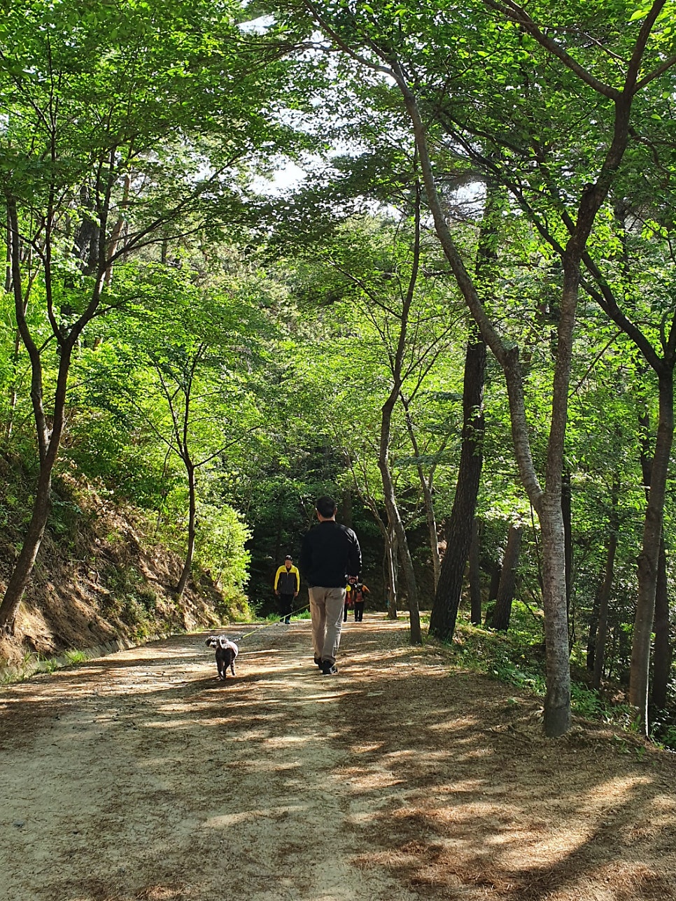 울산쫀득이 사진 1