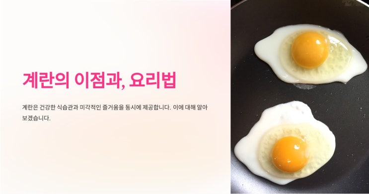  슈퍼푸드, 완전식품 계란, 먹어야 하는 이유