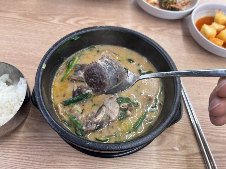  호평동순대국 든든하고 맛있는 식사한끼로 좋은 부산아지매국밥 호평점