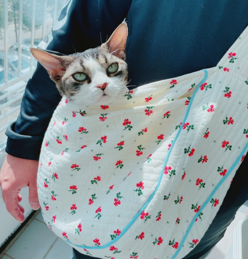 고양이 포대기 "부투펫 슬링백" 이동장 산책 가방으로 추천!