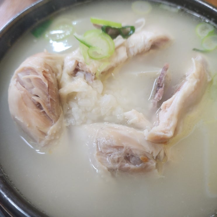  천일삼계탕 - 동대문역사문화공원역 동화상가 근처 혼밥하기 좋은 곳!