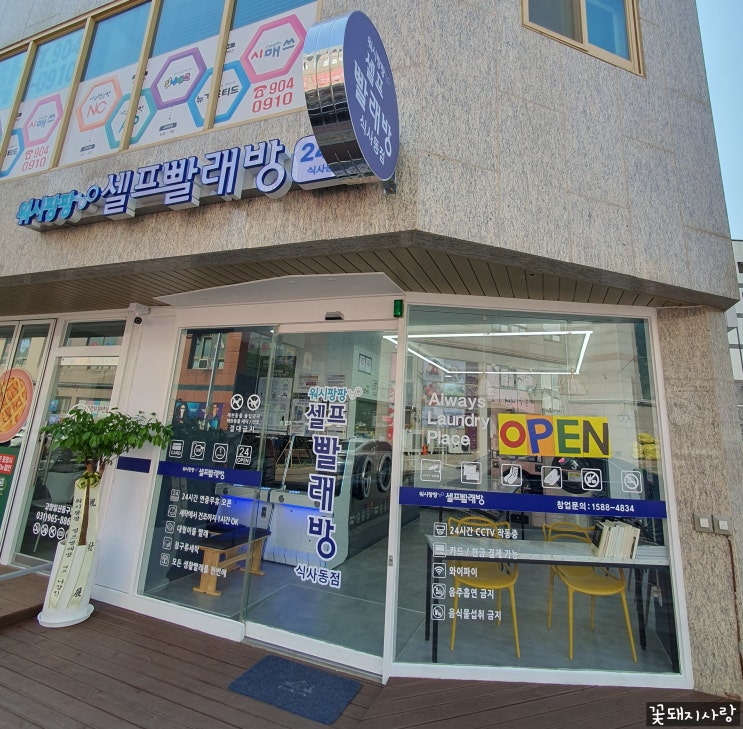  워시팡팡 셀프빨래방 식사동점 코인빨래방 후기