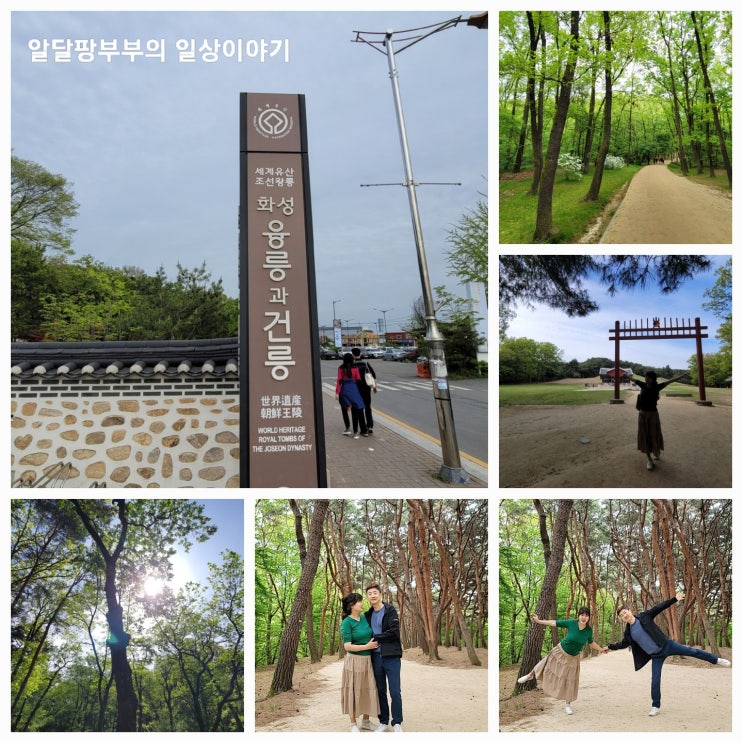 완연한 봄이네요 화성 주말 간단하게 한번 가볼만한곳 융건릉 산책 완연한 봄이네요 화성 주말 간단하게 한번 가볼만한곳 융건릉 산책