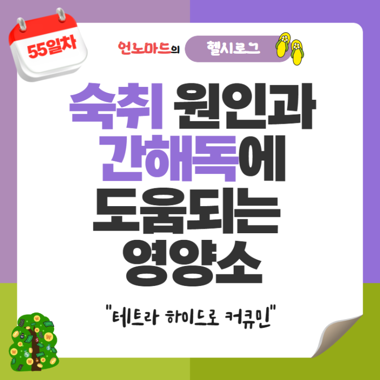  55일차, 숙취 원인과 간해독에 도움되는 영양소 (feat.커큐민)