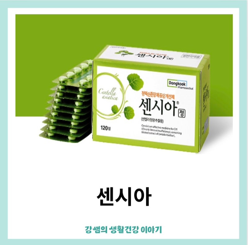 센시아 복용법 가격 효능 하지정맥류 약국 약