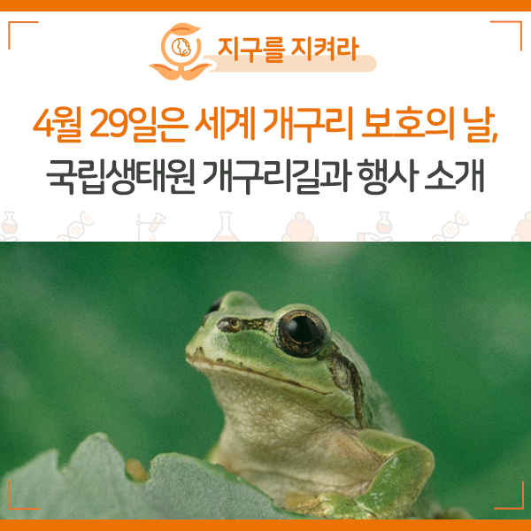 [NIE 탐구생활] 4월 29일은 세계 개구리 보호의 날, 국립생태원 개구리길과 행사 소개