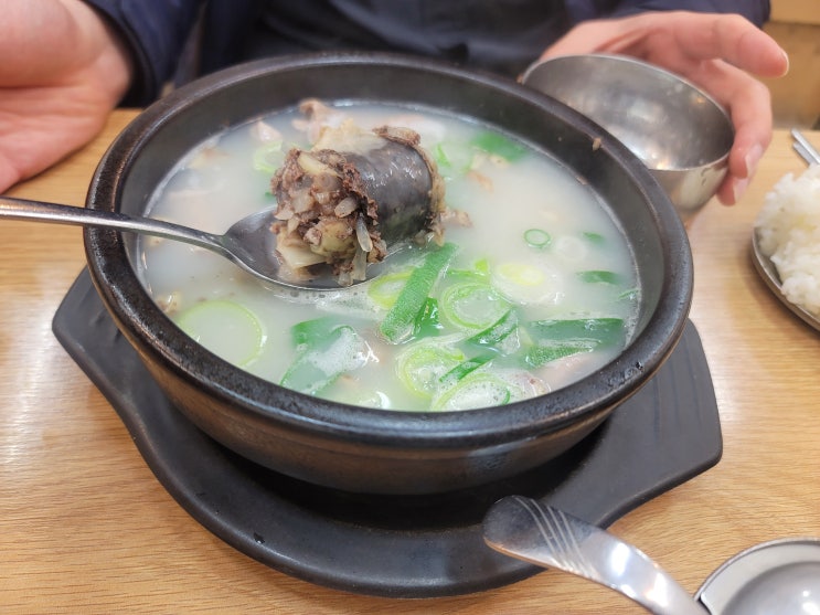  [세종/어진동]공주순대(2023.03.24)