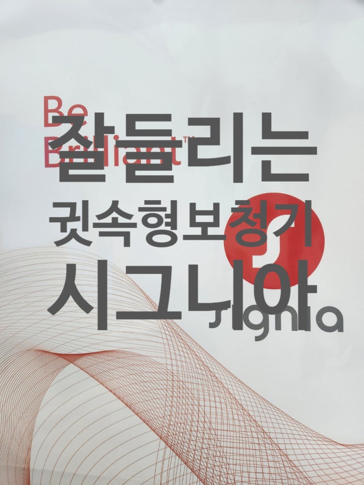  잘들리는 귓속형보청기 추천 [안보이는 고막형보청기]